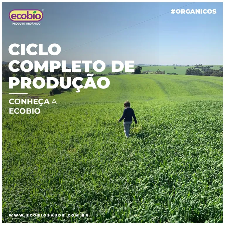 Ciclo completo de produção